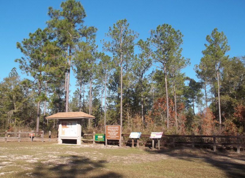 Saint Marks River Preserve State Park, Florida, USA